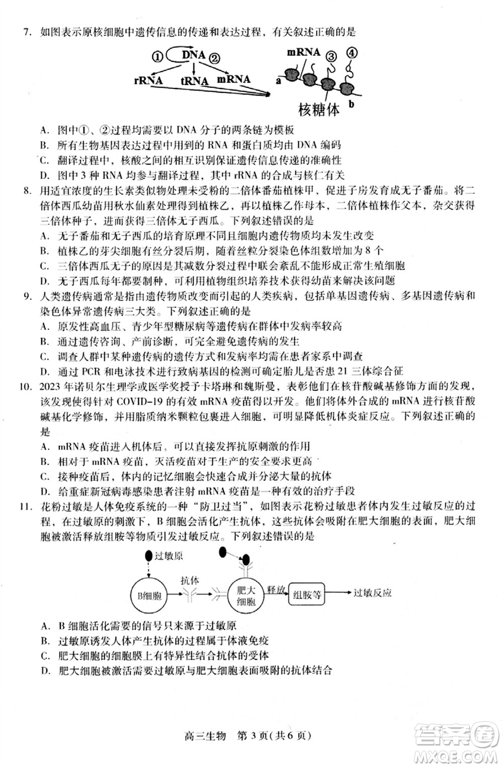 貴州名校協(xié)作體2023-2024學(xué)年高三上學(xué)期11月聯(lián)考一生物參考答案