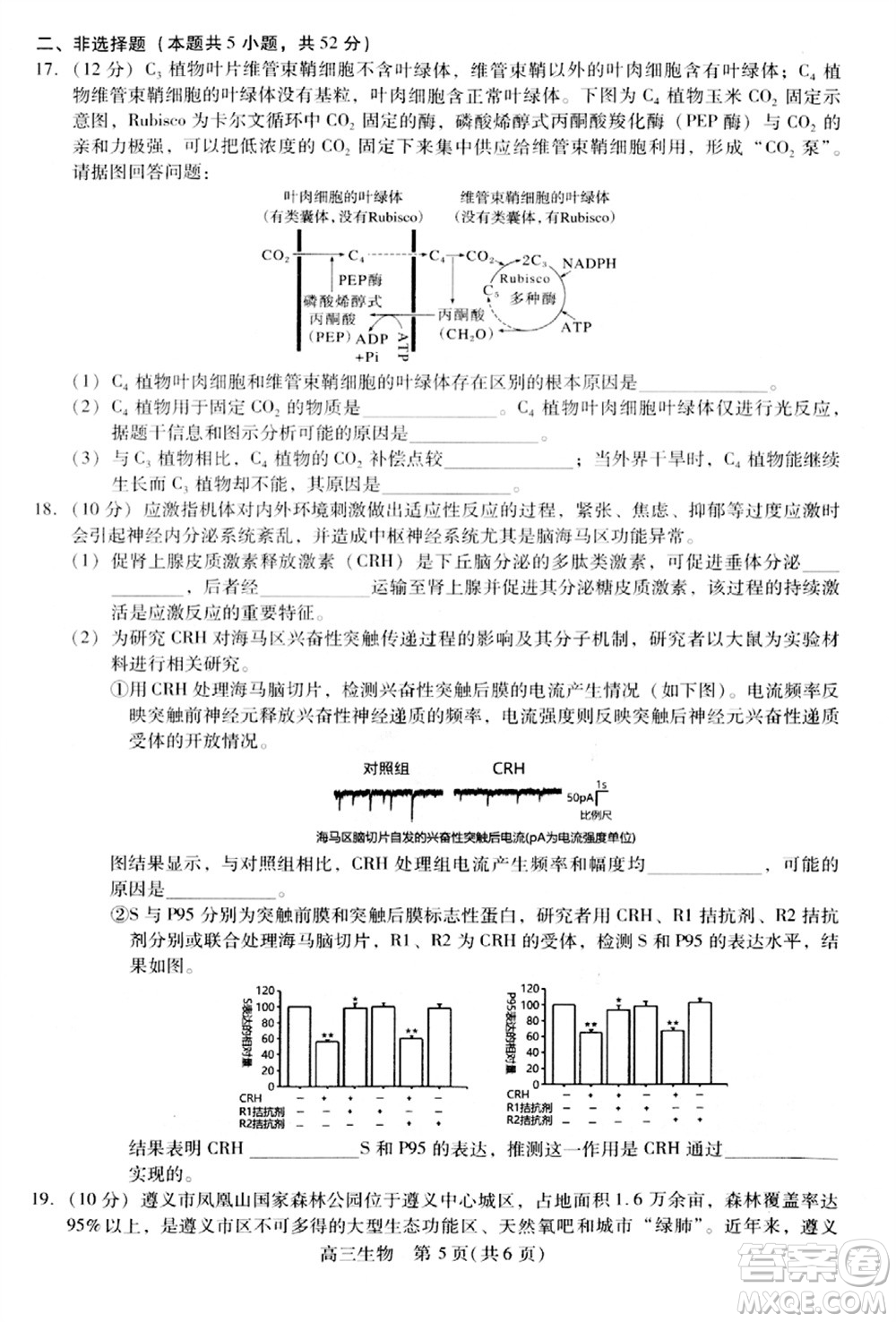 貴州名校協(xié)作體2023-2024學(xué)年高三上學(xué)期11月聯(lián)考一生物參考答案