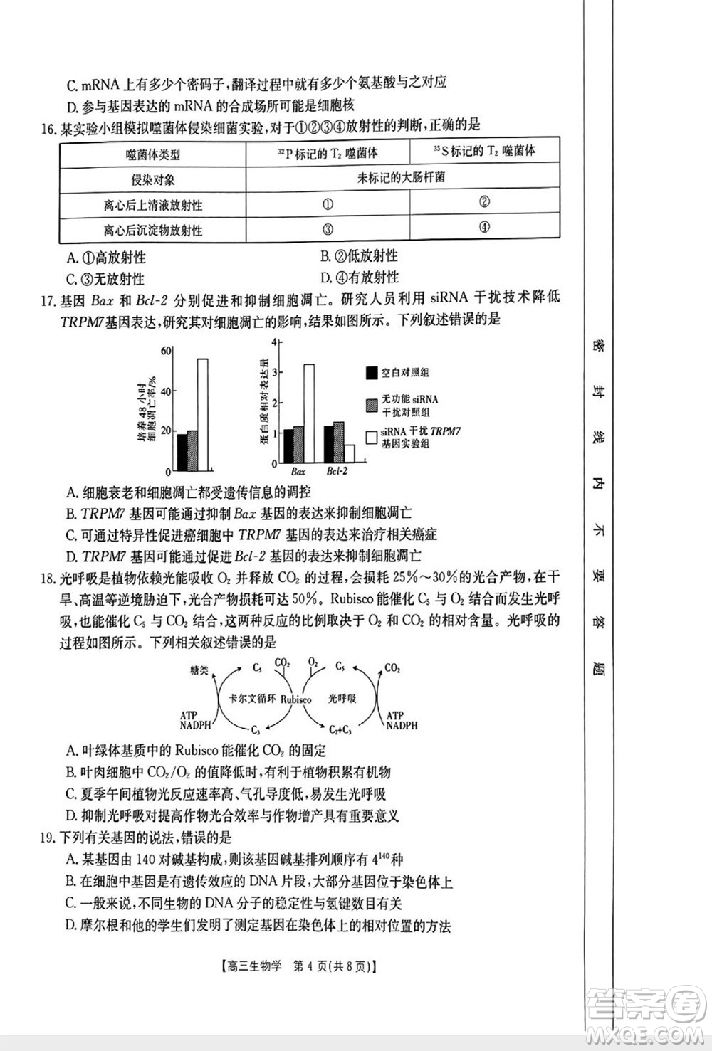 山西省2024屆高三上學(xué)期11月金太陽聯(lián)考生物試題答案