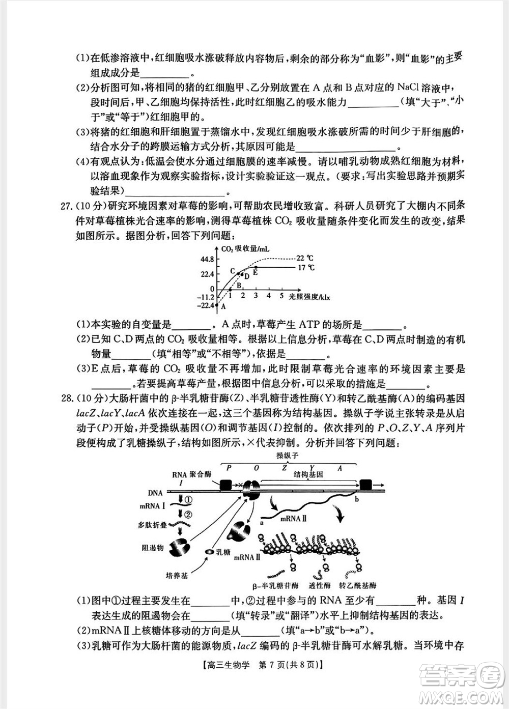 山西省2024屆高三上學(xué)期11月金太陽聯(lián)考生物試題答案