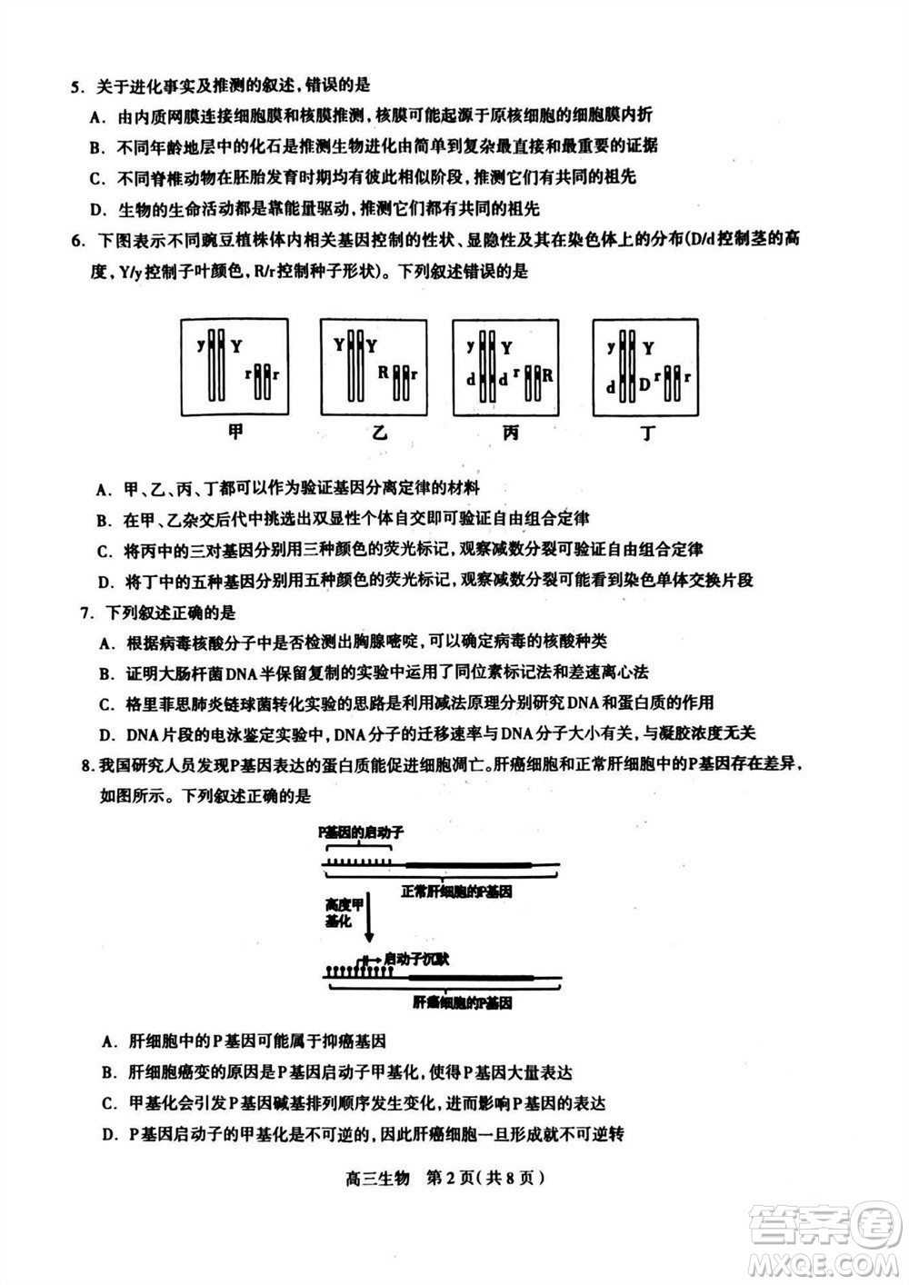 石家莊市2024屆高三上學期11月教學質量摸底檢測生物答案