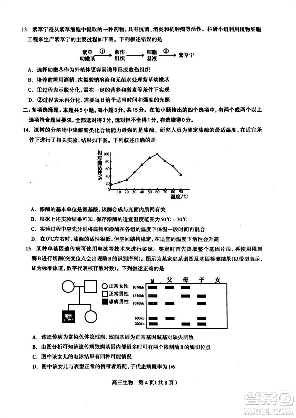 石家莊市2024屆高三上學期11月教學質量摸底檢測生物答案