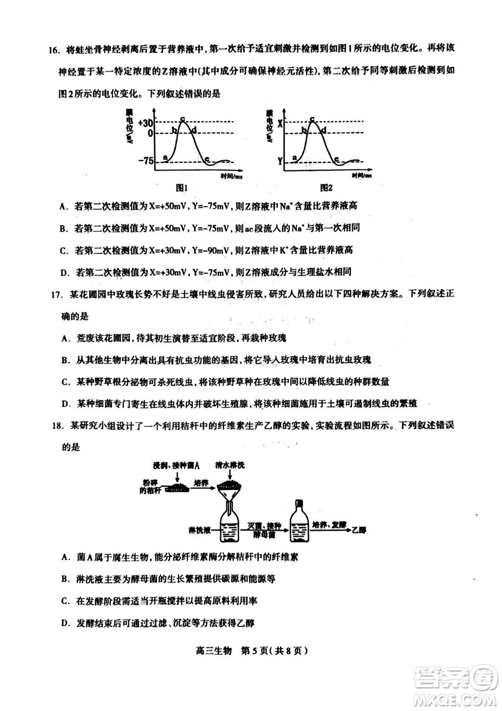 石家莊市2024屆高三上學期11月教學質量摸底檢測生物答案