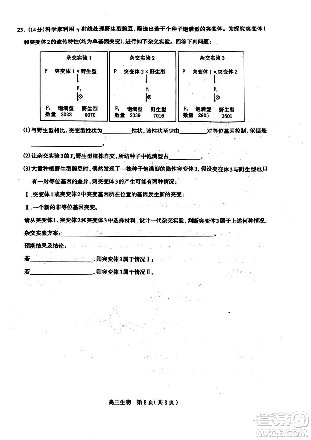 石家莊市2024屆高三上學期11月教學質量摸底檢測生物答案