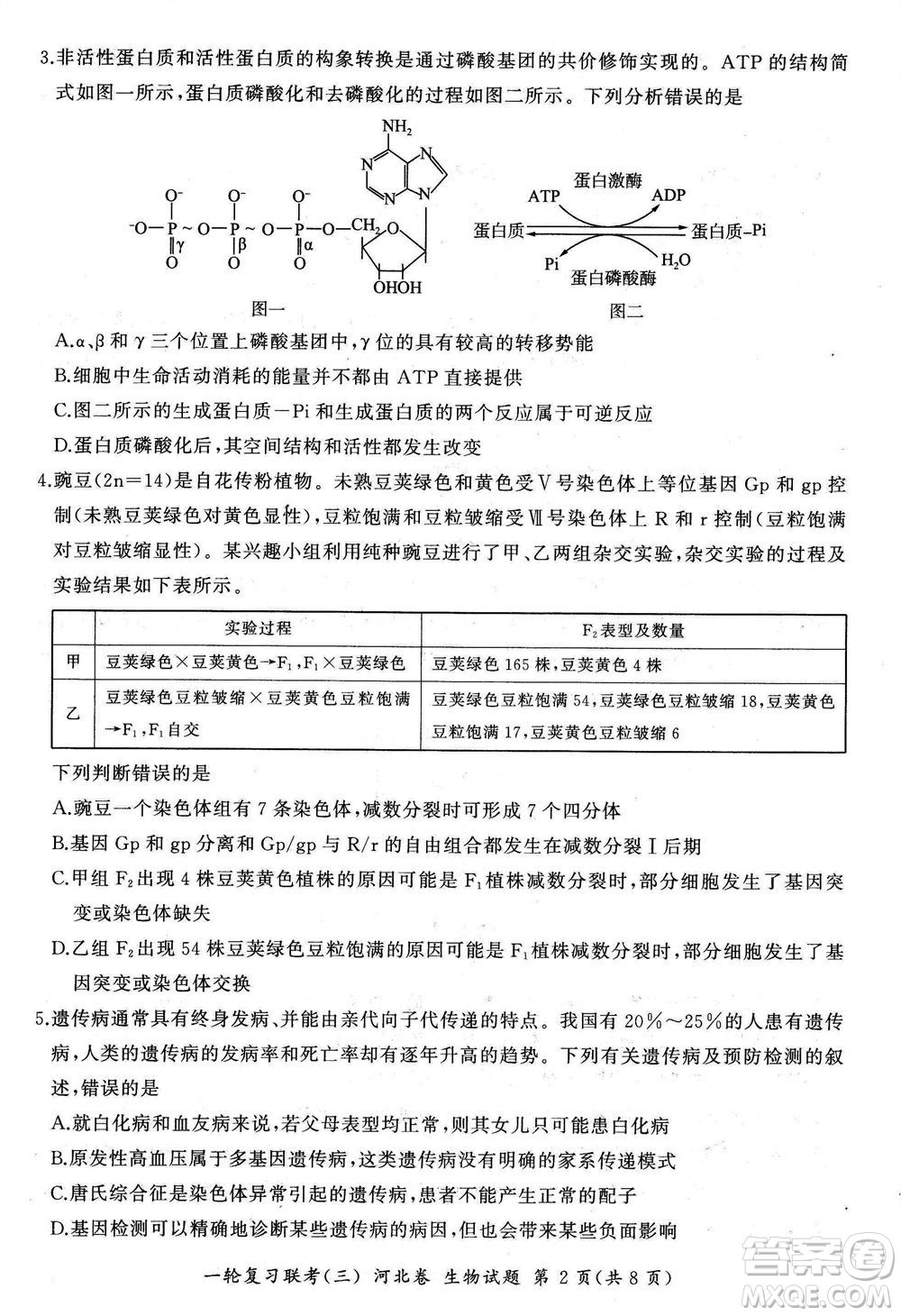 百師聯(lián)盟2024屆高三上學(xué)期一輪復(fù)習(xí)聯(lián)考三河北卷生物參考答案