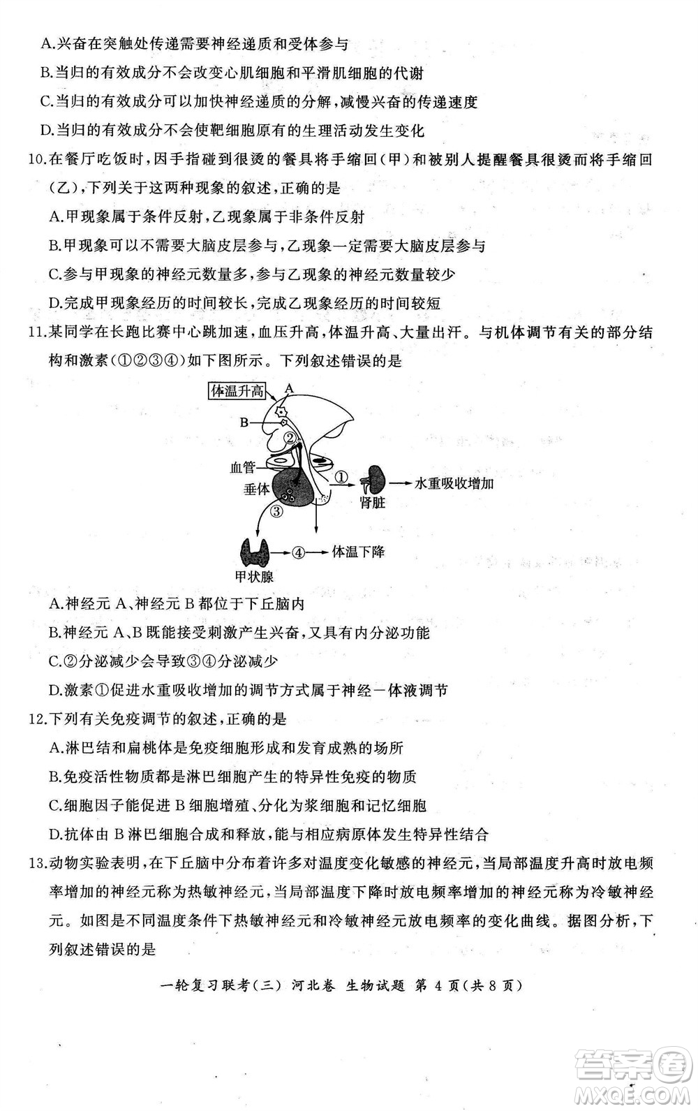 百師聯(lián)盟2024屆高三上學(xué)期一輪復(fù)習(xí)聯(lián)考三河北卷生物參考答案