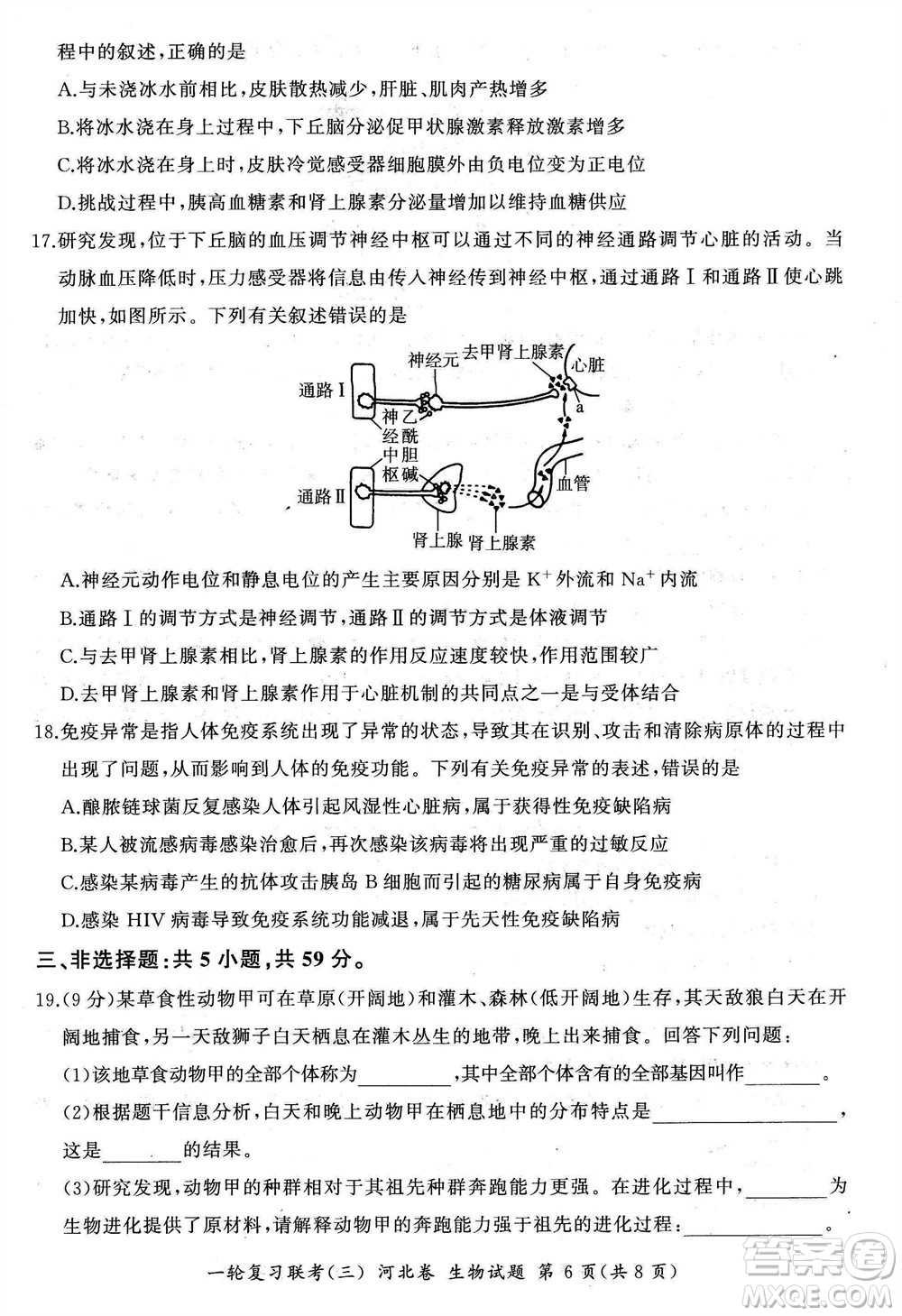 百師聯(lián)盟2024屆高三上學(xué)期一輪復(fù)習(xí)聯(lián)考三河北卷生物參考答案