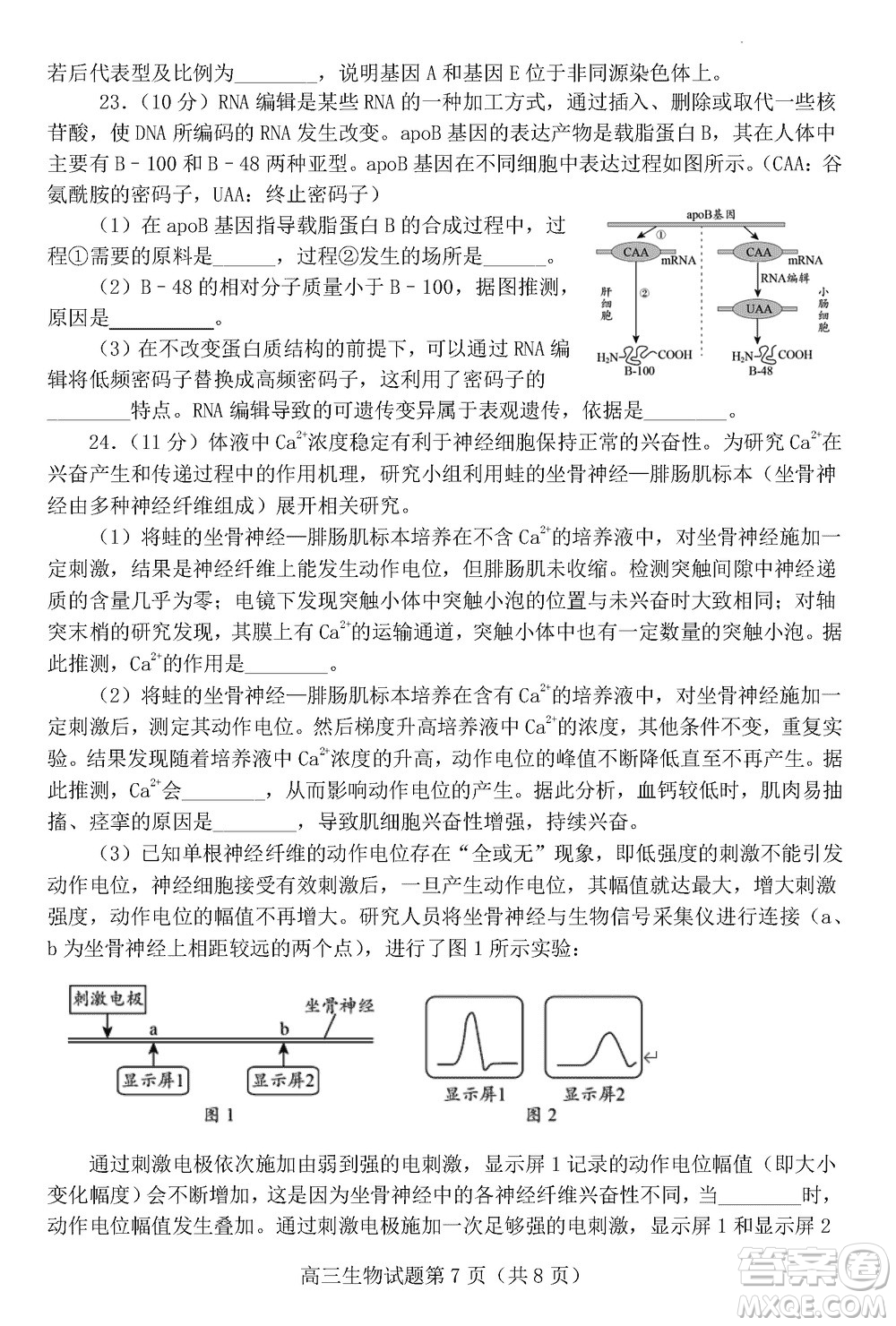 日照2021級高三上學期11月期中校際聯(lián)合考試生物參考答案