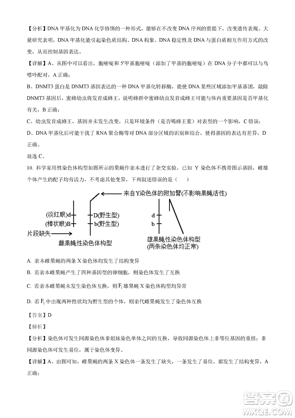 2023年11月湖南岳汨聯(lián)考高三期中考試生物參考答案