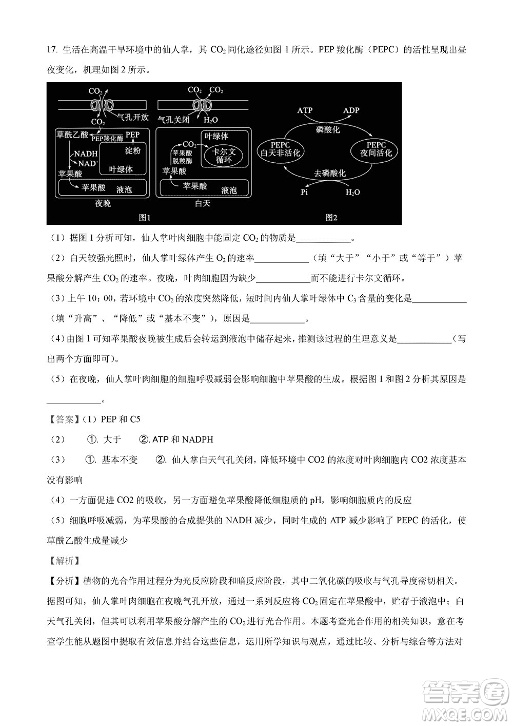 2023年11月湖南岳汨聯(lián)考高三期中考試生物參考答案