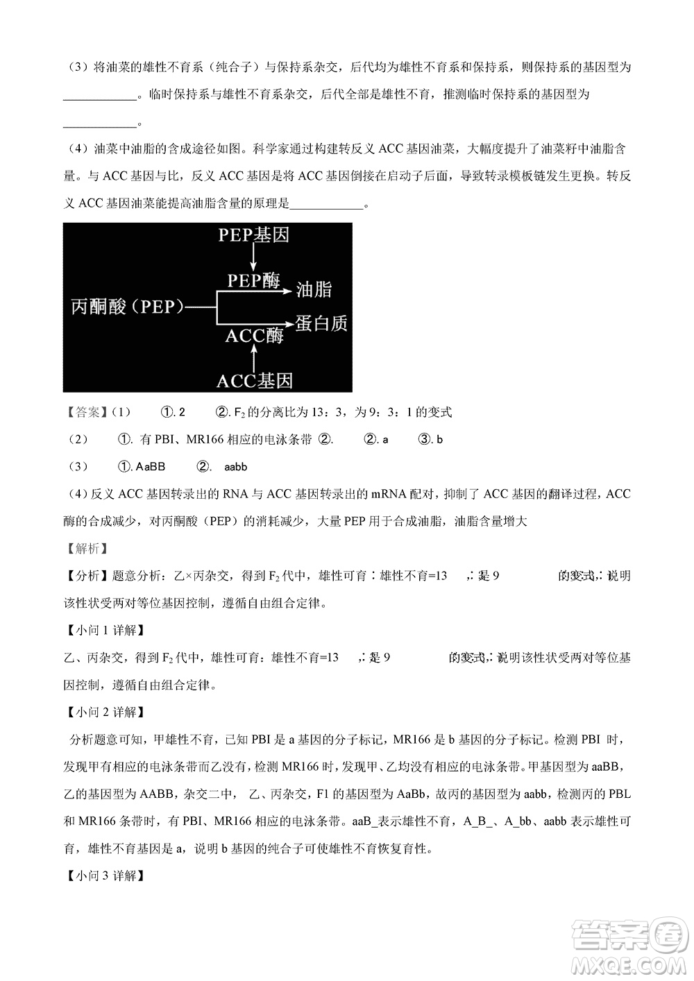 2023年11月湖南岳汨聯(lián)考高三期中考試生物參考答案