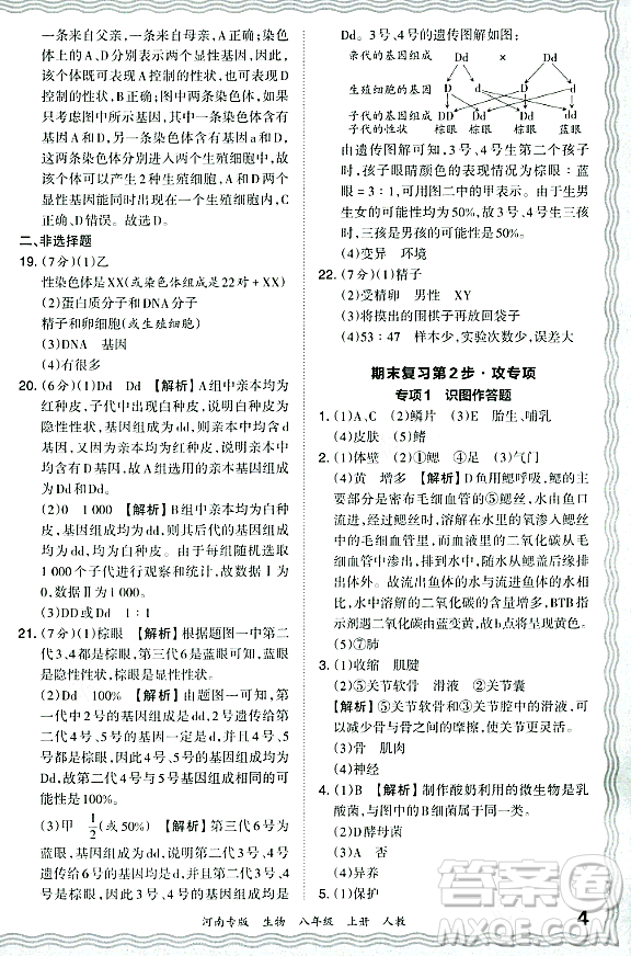 江西人民出版社2023年秋王朝霞各地期末試卷精選八年級(jí)生物上冊(cè)人教版河南專版答案