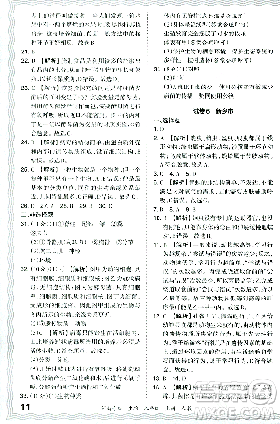 江西人民出版社2023年秋王朝霞各地期末試卷精選八年級(jí)生物上冊(cè)人教版河南專版答案