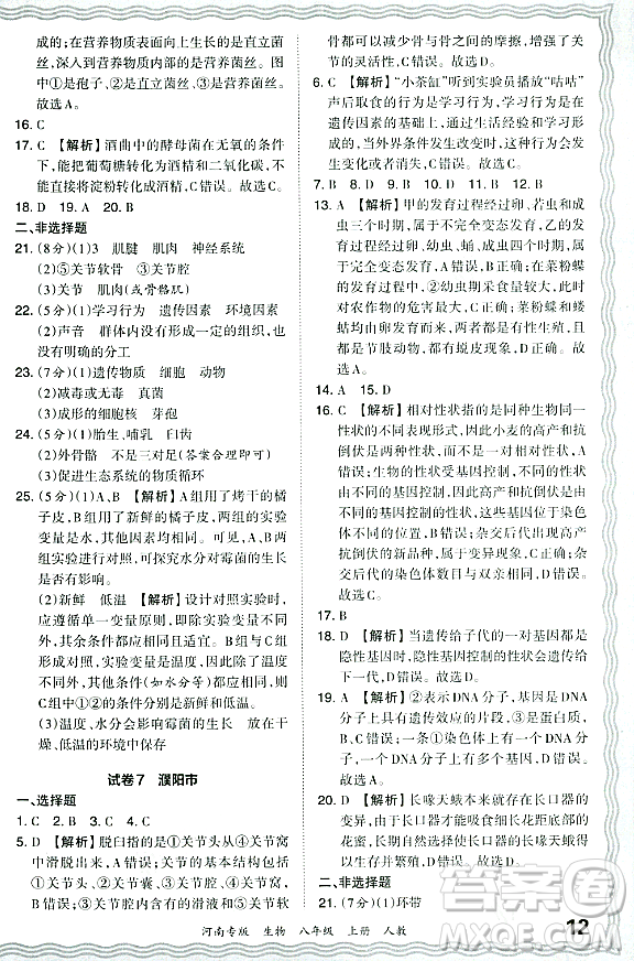 江西人民出版社2023年秋王朝霞各地期末試卷精選八年級(jí)生物上冊(cè)人教版河南專版答案