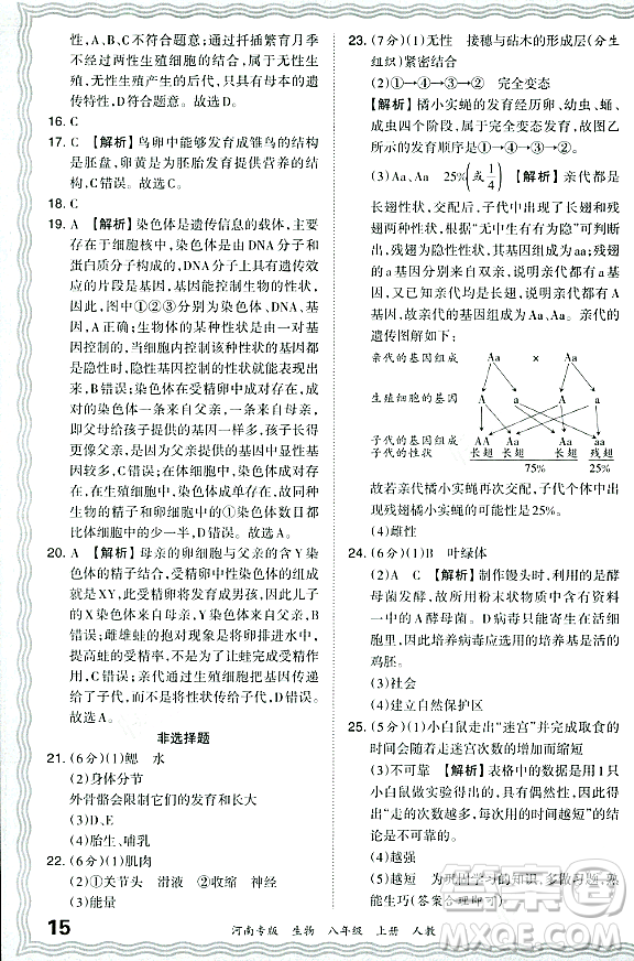 江西人民出版社2023年秋王朝霞各地期末試卷精選八年級(jí)生物上冊(cè)人教版河南專版答案