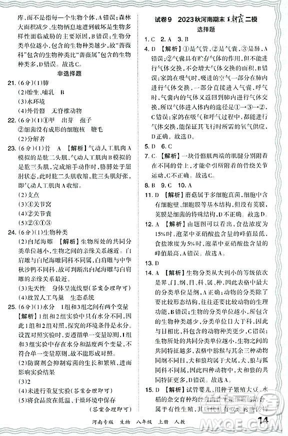 江西人民出版社2023年秋王朝霞各地期末試卷精選八年級(jí)生物上冊(cè)人教版河南專版答案