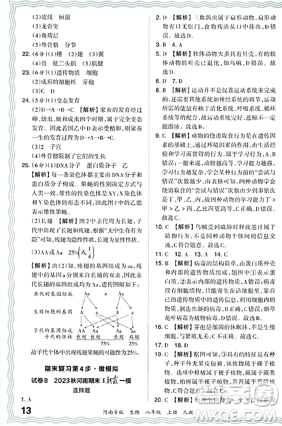 江西人民出版社2023年秋王朝霞各地期末試卷精選八年級(jí)生物上冊(cè)人教版河南專版答案