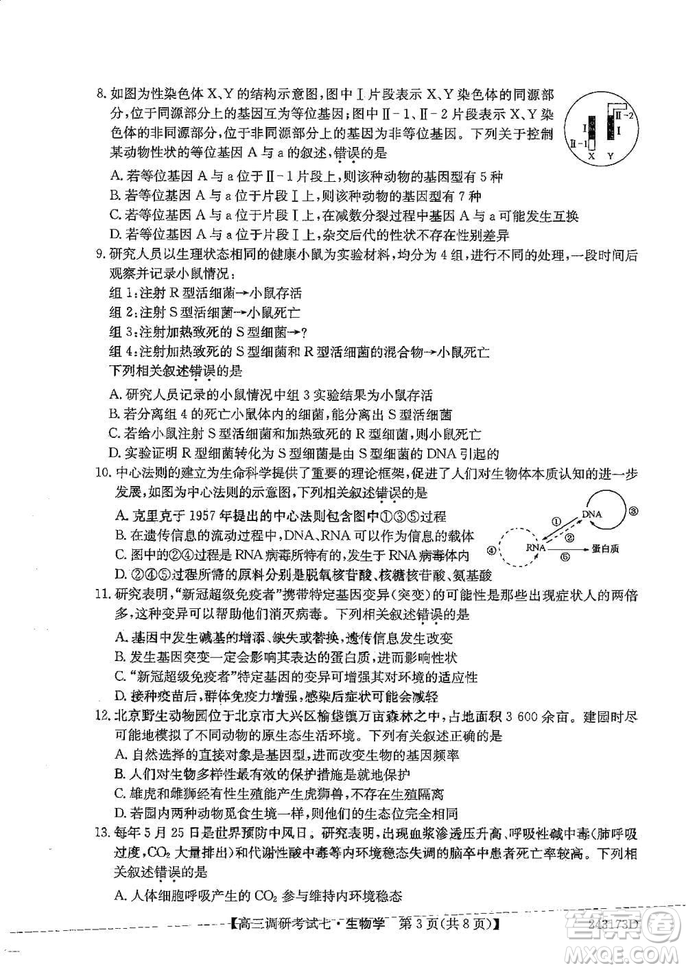 2024屆高三上學(xué)期11月TOP二十名校調(diào)研考試七生物參考答案