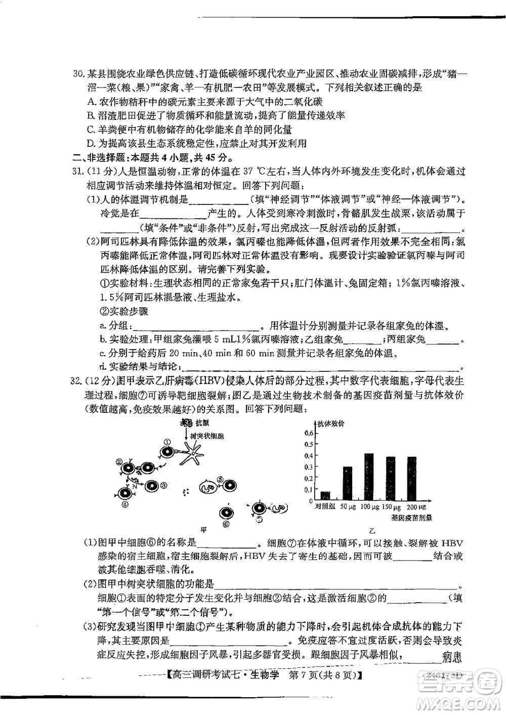 2024屆高三上學(xué)期11月TOP二十名校調(diào)研考試七生物參考答案