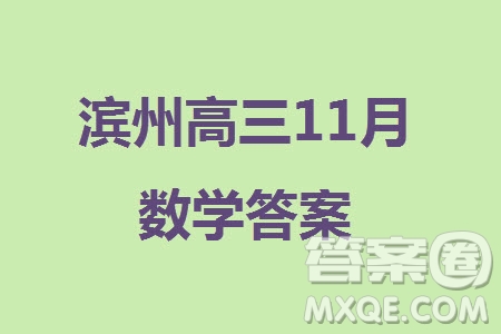 濱州市2024屆高三上學期11月學科質(zhì)量檢測數(shù)學參考答案