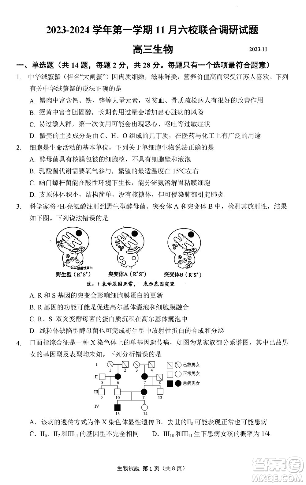 南京市六校聯(lián)合調(diào)研2023-2024學(xué)年高三上學(xué)期11月期中考試生物答案