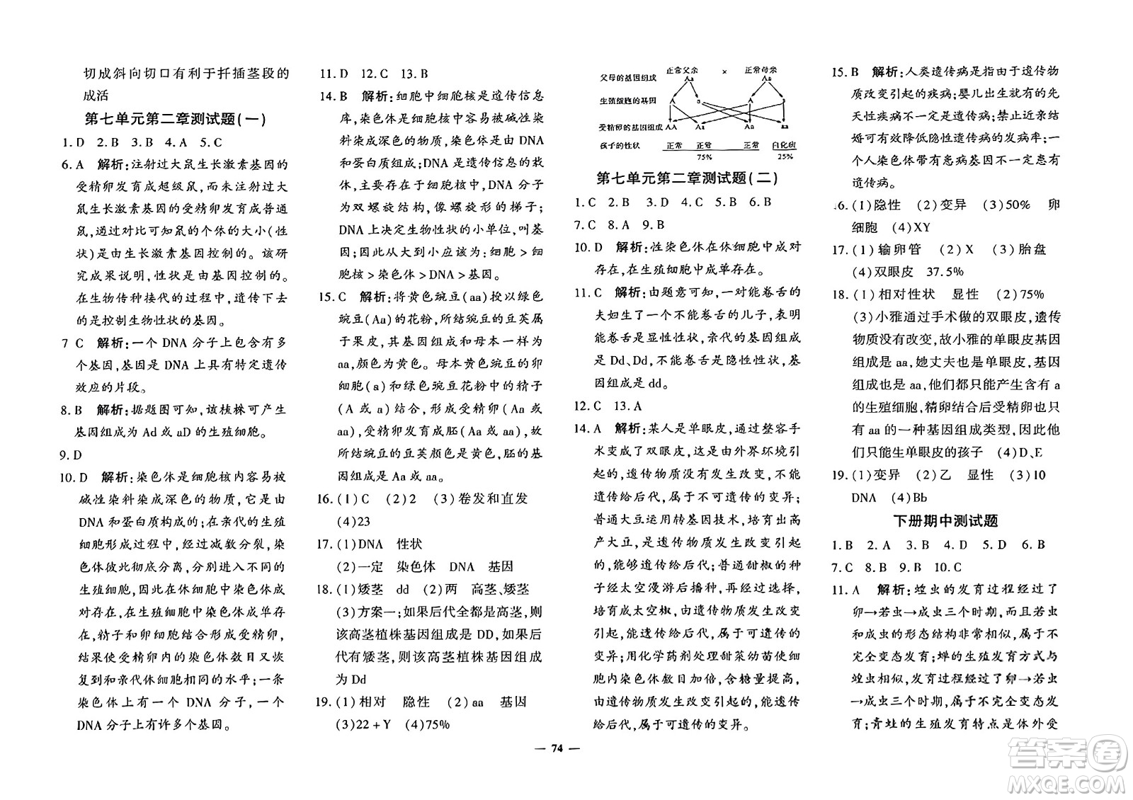 濟南出版社2023年秋黃岡360度定制密卷八年級生物上冊通用版答案