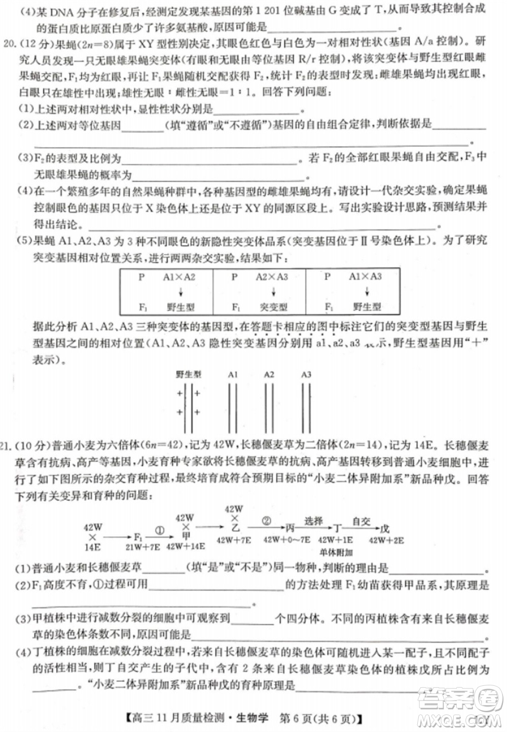 九師聯(lián)盟2024屆高三上學(xué)期11月質(zhì)量檢測(cè)LY生物參考答案