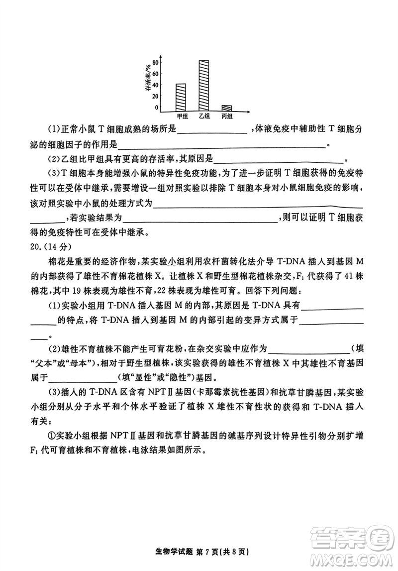 廣東衡水金卷2024屆高三上學(xué)期11月聯(lián)考生物參考答案