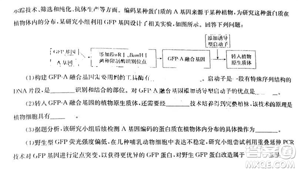 華大新高考聯(lián)盟2024屆高三11月教學(xué)質(zhì)量測評江西卷生物參考答案