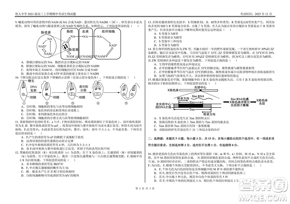 鐵人中學(xué)2021級高三上學(xué)期11月期中考試生物參考答案