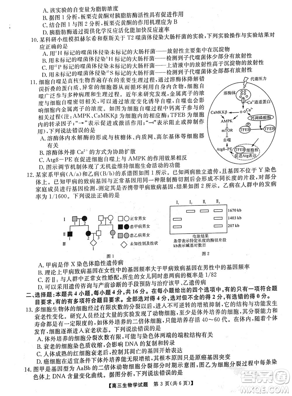 湖南天壹名校聯(lián)盟2024屆高三上學(xué)期11月質(zhì)量檢測試題生物參考答案