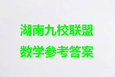 湖南省2024屆高三上學(xué)期九校聯(lián)盟第一次聯(lián)考數(shù)學(xué)參考答案