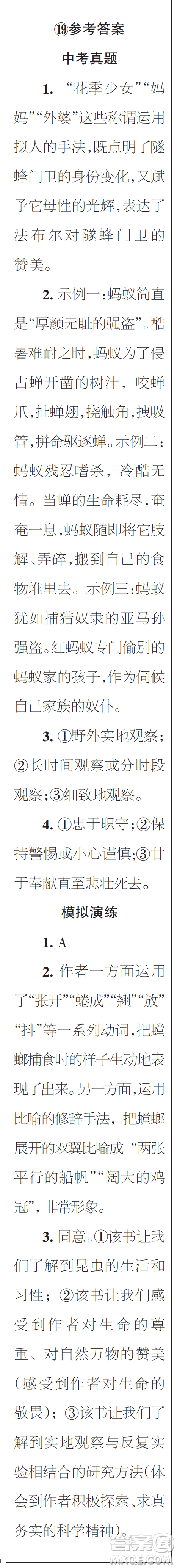 時(shí)代學(xué)習(xí)報(bào)初中版2023年秋八年級(jí)語(yǔ)文上冊(cè)17-20期參考答案