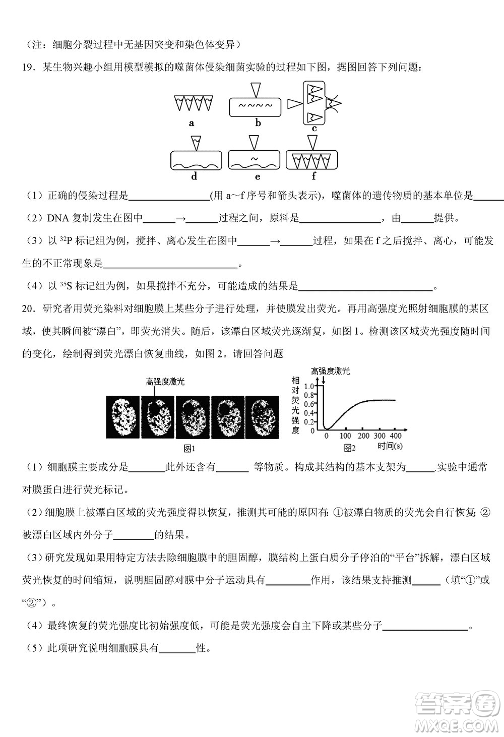 重慶烏江新高考協(xié)作體2024屆高三上學期12月期中學業(yè)質量聯(lián)合調研抽測生物答案