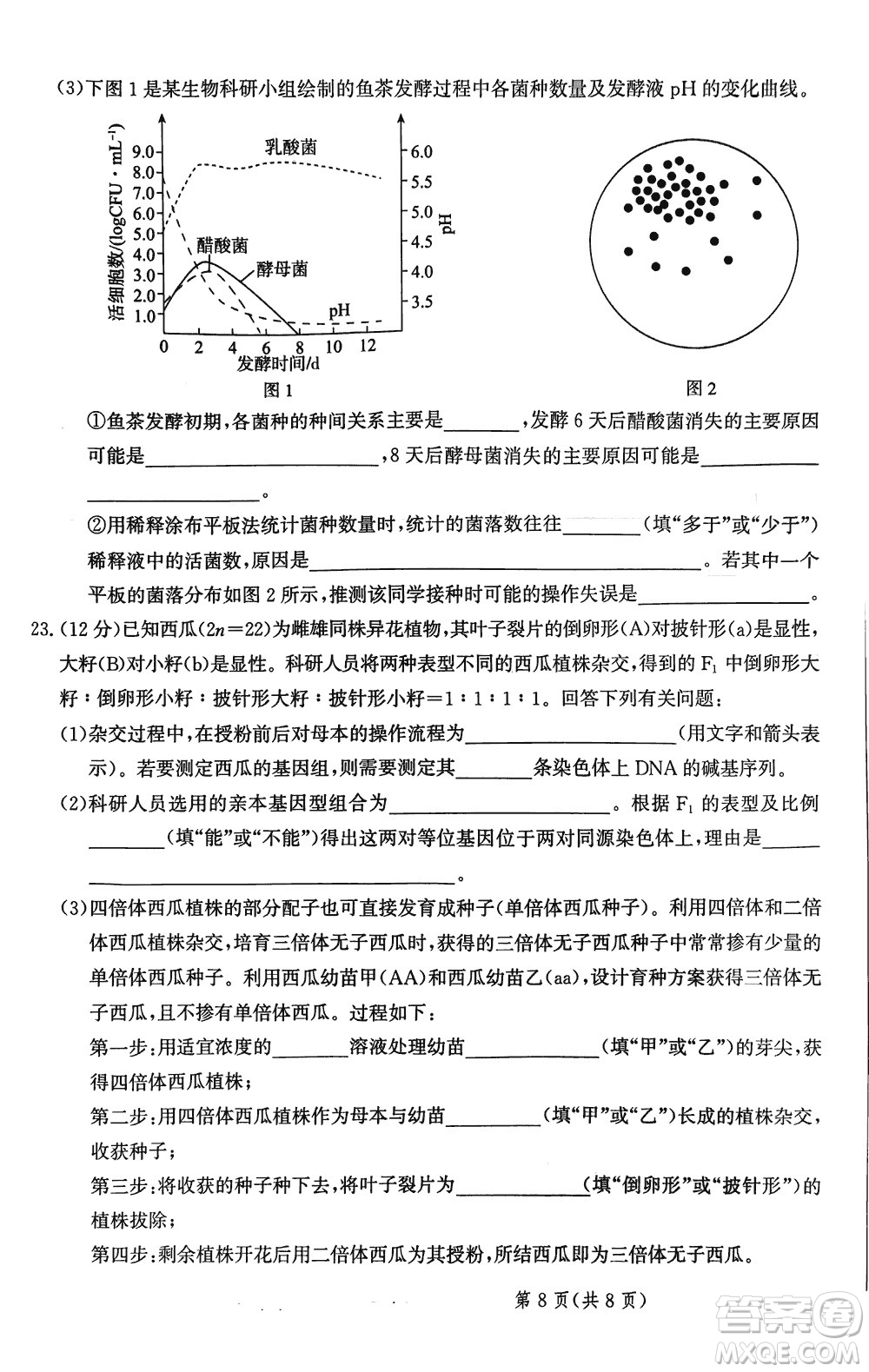 2024屆河北省部分重點(diǎn)高中高三上學(xué)期12月普通高考模擬試題生物參考答案