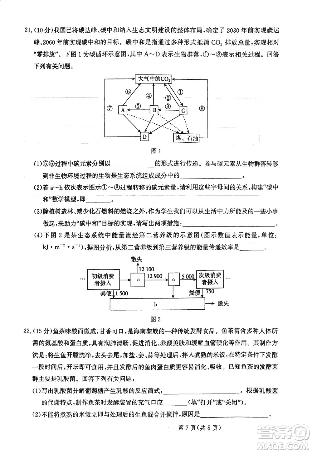 2024屆河北省部分重點(diǎn)高中高三上學(xué)期12月普通高考模擬試題生物參考答案