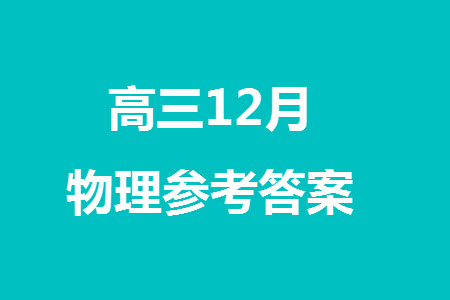 2024屆河北省部分重點(diǎn)高中高三上學(xué)期12月普通高考模擬試題物理參考答案