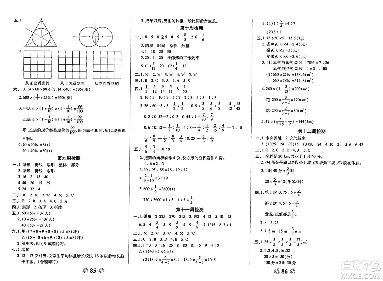 山東美術(shù)出版社2023年秋全能練考卷六年級數(shù)學(xué)上冊北師大版答案