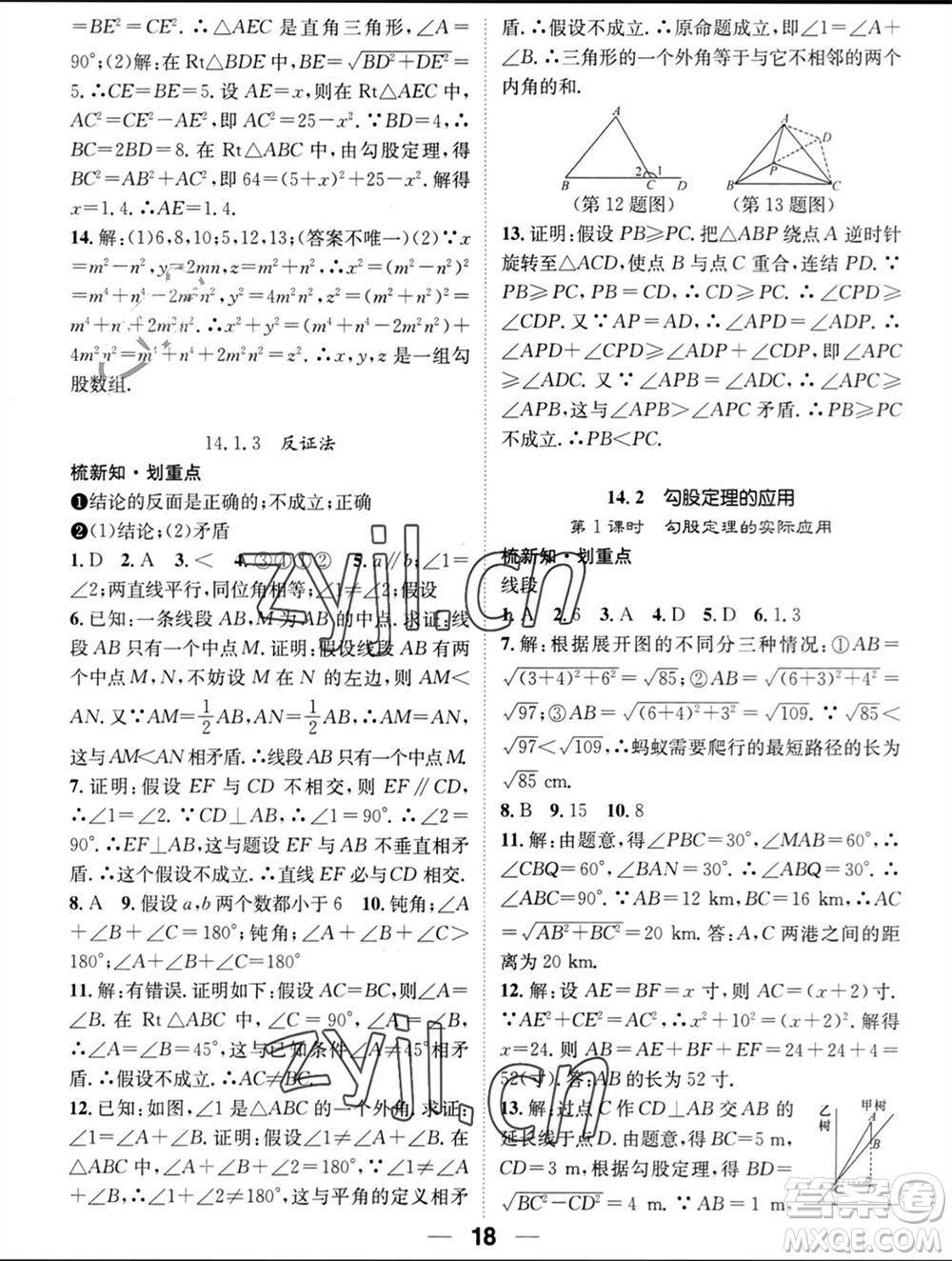 江西教育出版社2023年秋精英新課堂三點(diǎn)分層作業(yè)八年級數(shù)學(xué)上冊華師大版參考答案