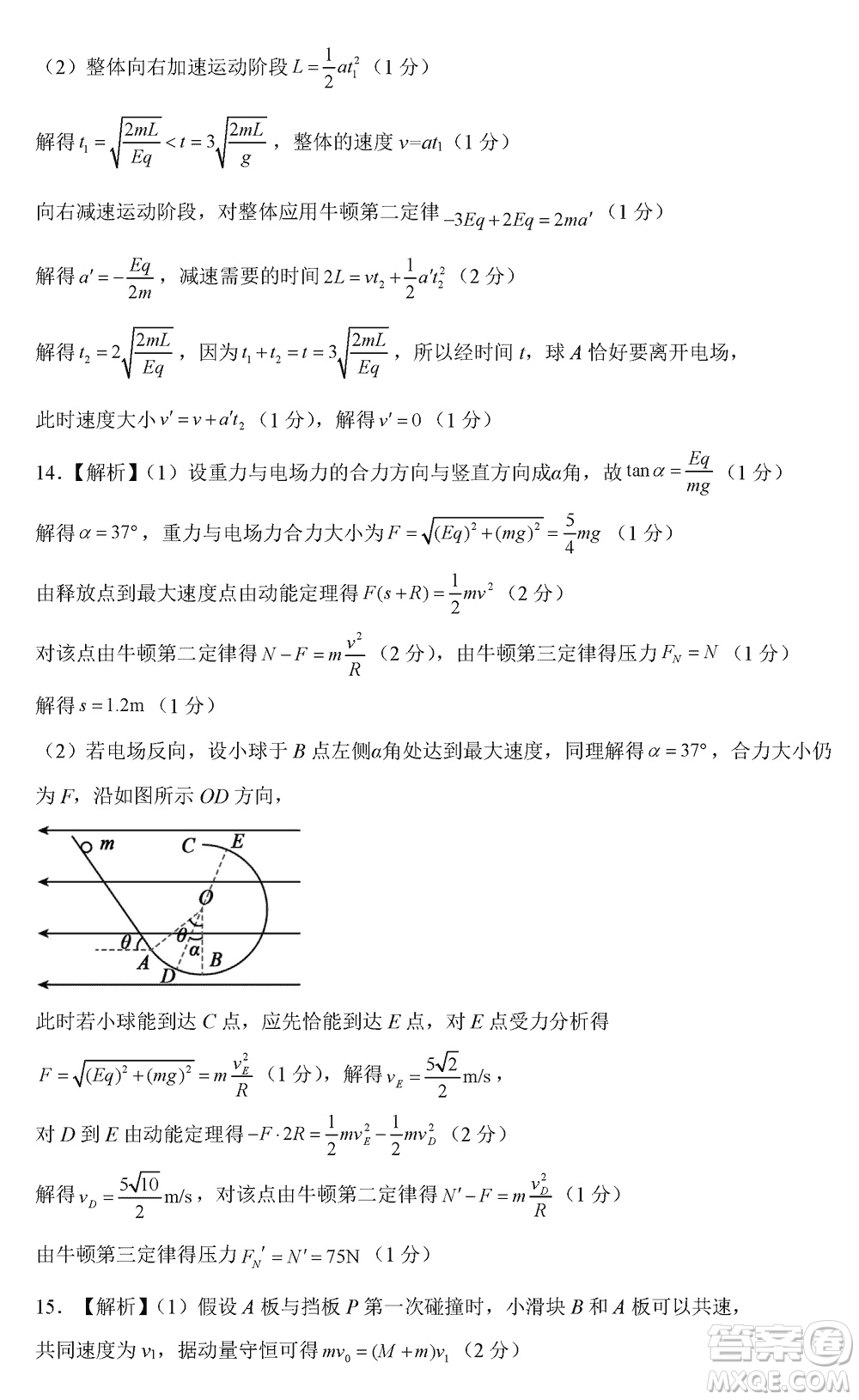 河北新時(shí)代NT教育2024屆高三上學(xué)期12月階段測試卷物理參考答案