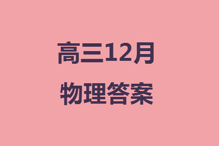 河北新時(shí)代NT教育2024屆高三上學(xué)期12月階段測試卷物理參考答案