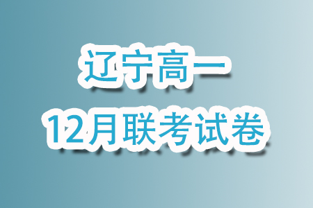 遼寧名校聯(lián)盟2023-2024年高一上12月物理試卷答案