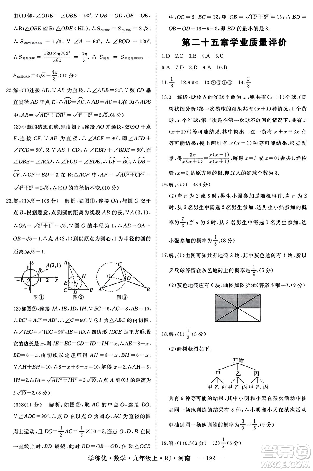 延邊大學出版社2023年秋學練優(yōu)九年級數(shù)學上冊人教版河南專版答案