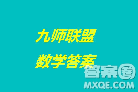 九師聯(lián)盟聯(lián)考2024屆高三12月質量檢測新高考數(shù)學試題答案