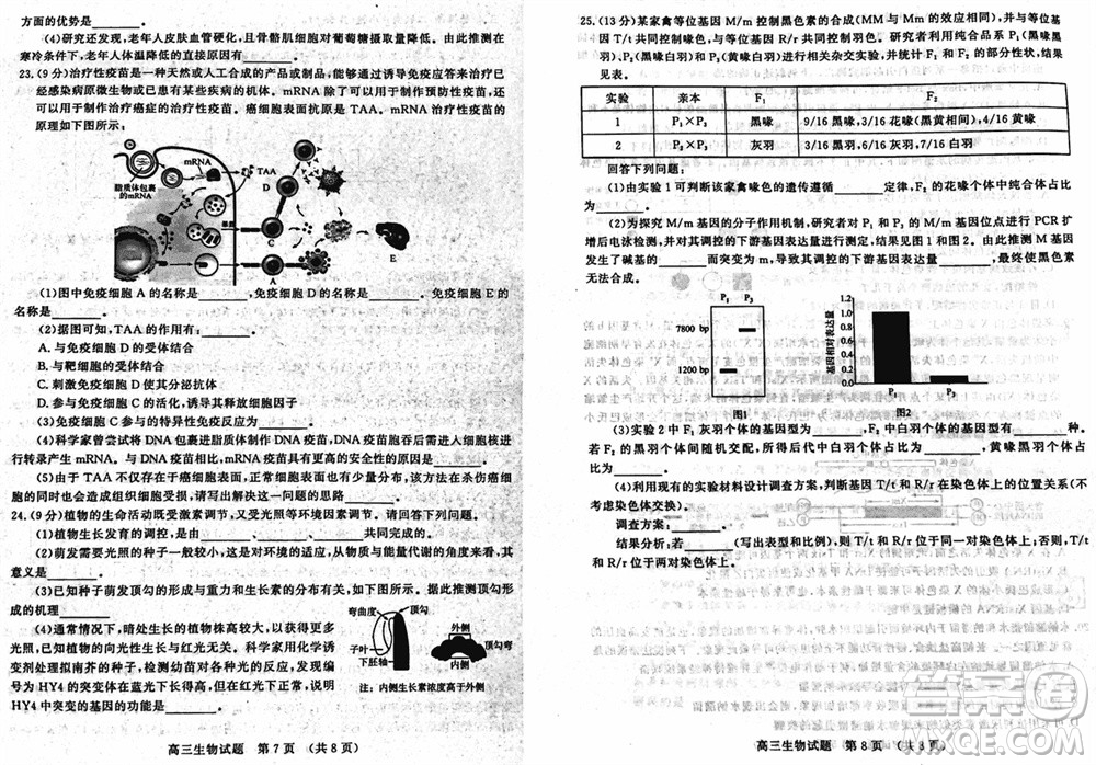 山東名?？荚嚶?lián)盟2023年12月高三年級(jí)階段性檢測(cè)生物試題參考答案