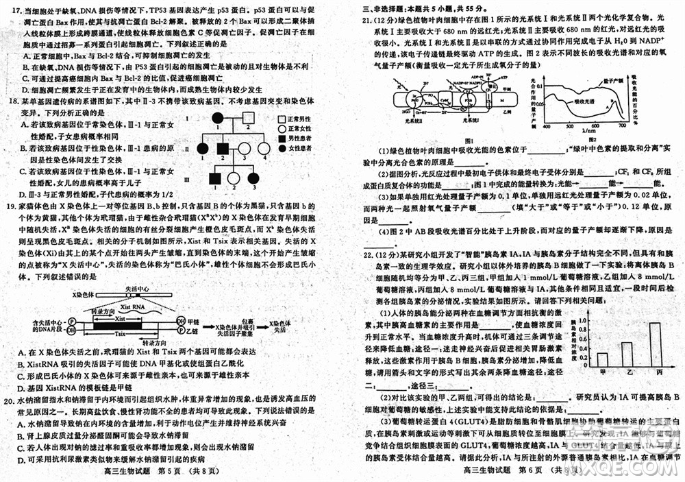 山東名?？荚嚶?lián)盟2023年12月高三年級(jí)階段性檢測(cè)生物試題參考答案