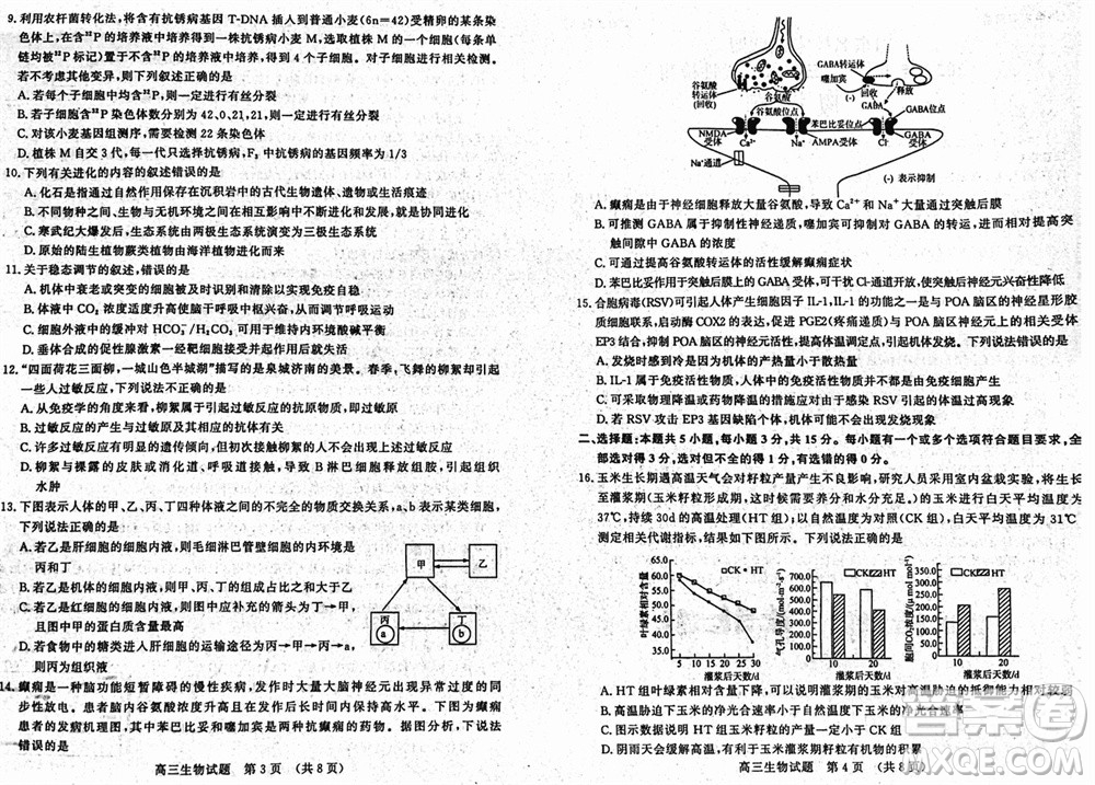 山東名?？荚嚶?lián)盟2023年12月高三年級(jí)階段性檢測(cè)生物試題參考答案