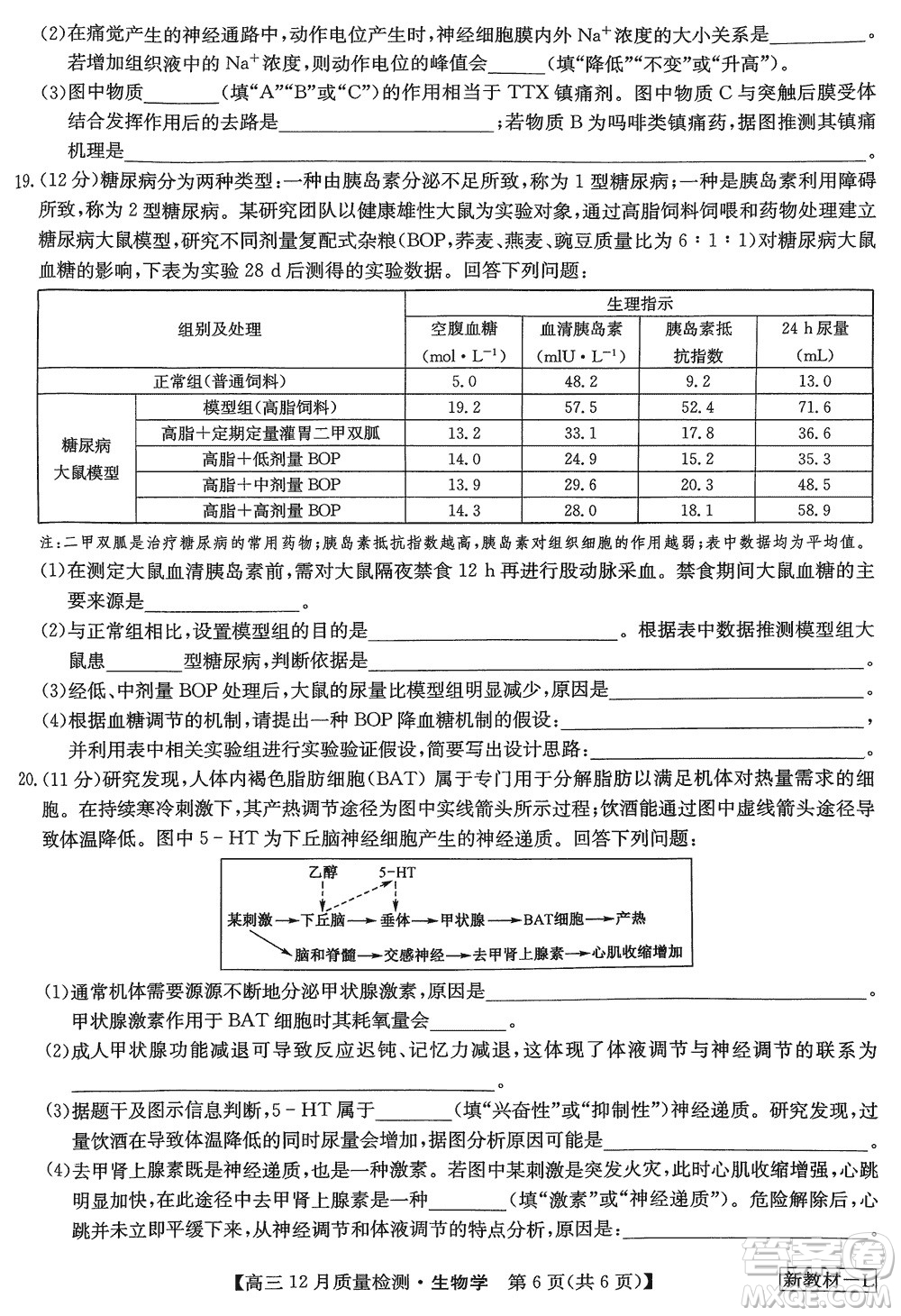 九師聯(lián)盟聯(lián)考2024屆高三12月質(zhì)量檢測新教材生物試題參考答案