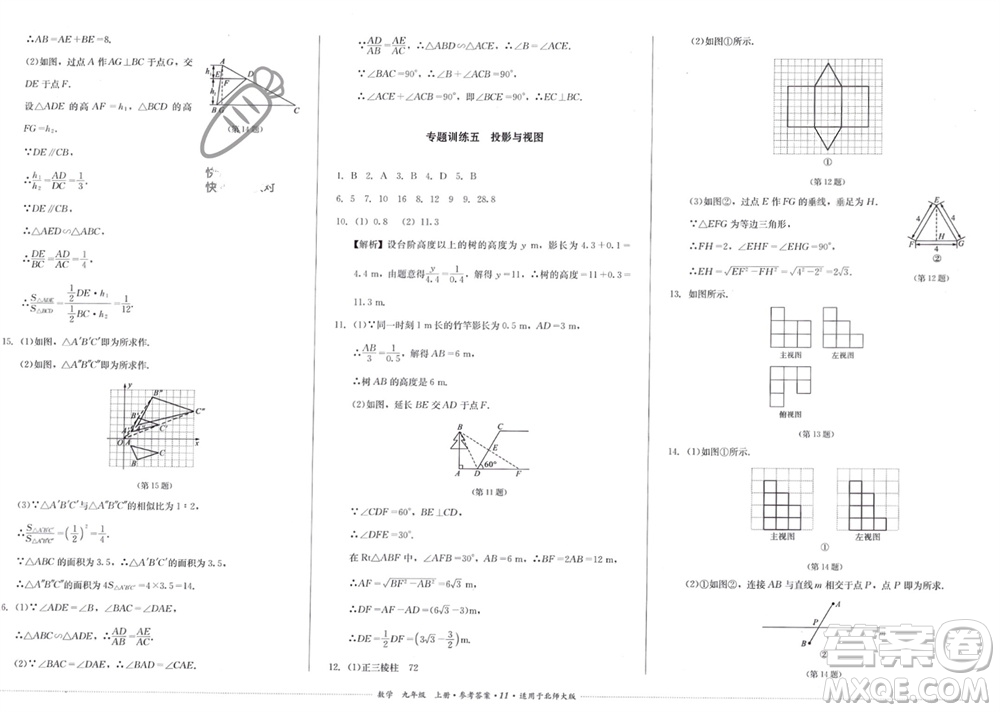 四川教育出版社2023年秋學(xué)情點評九年級數(shù)學(xué)上冊北師大版參考答案