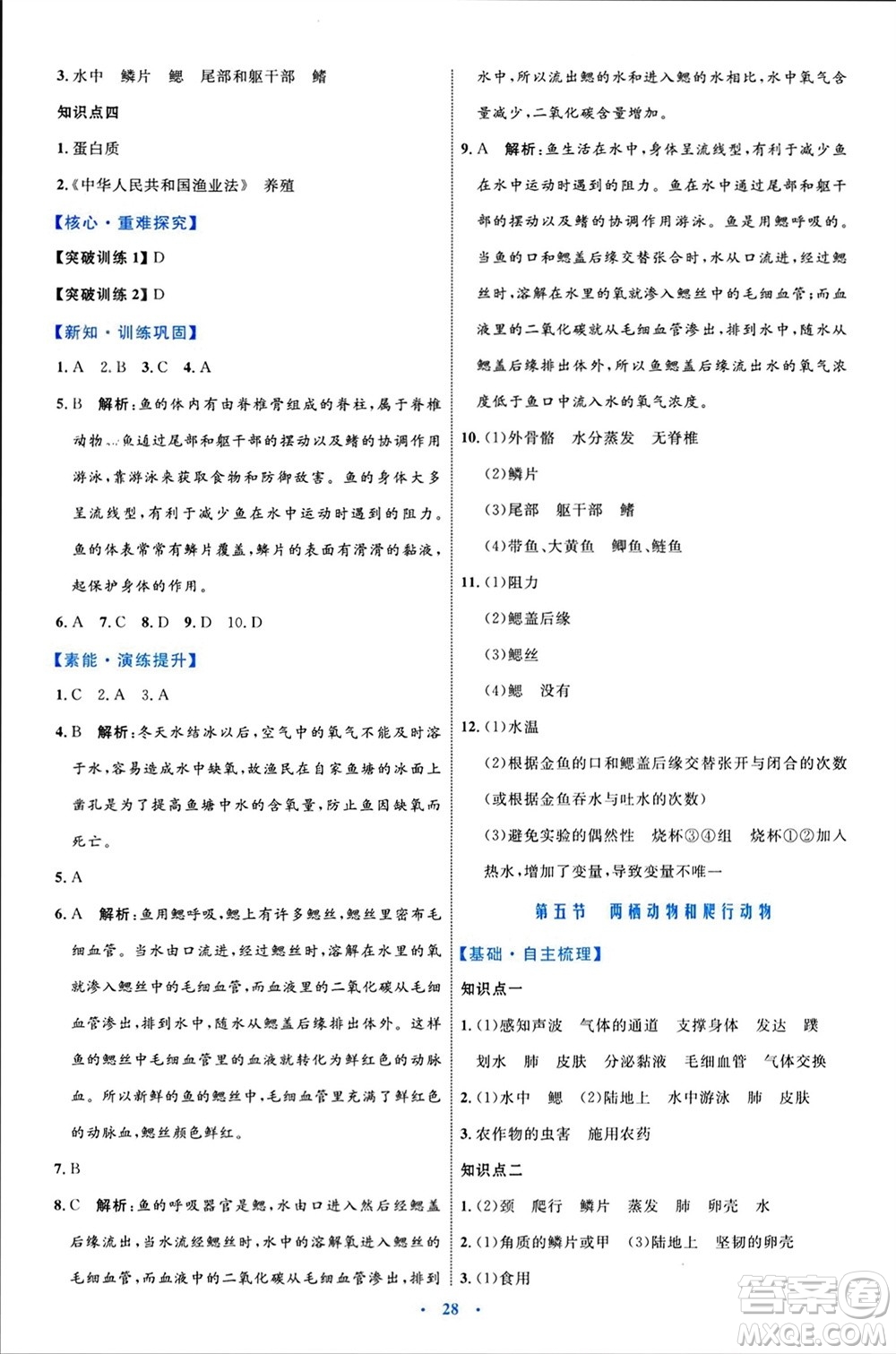 內(nèi)蒙古教育出版社2023年秋初中同步學(xué)習(xí)目標(biāo)與檢測八年級生物上冊人教版參考答案